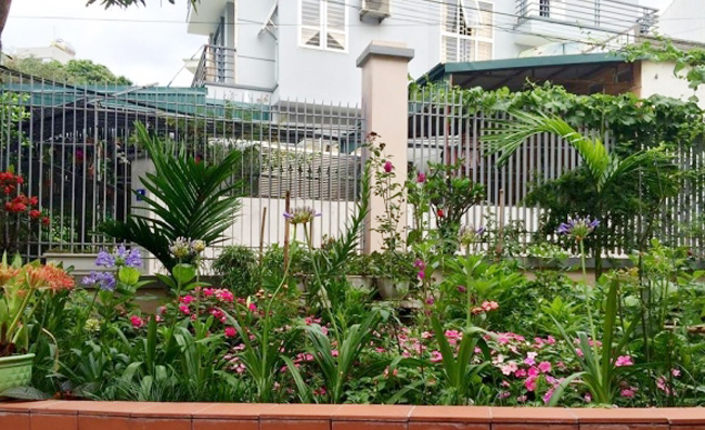 Màu xanh của các loài hoa và cây cảnh tạo nên không gian tươi mát cho căn nhà của gia đình Bích Phương.