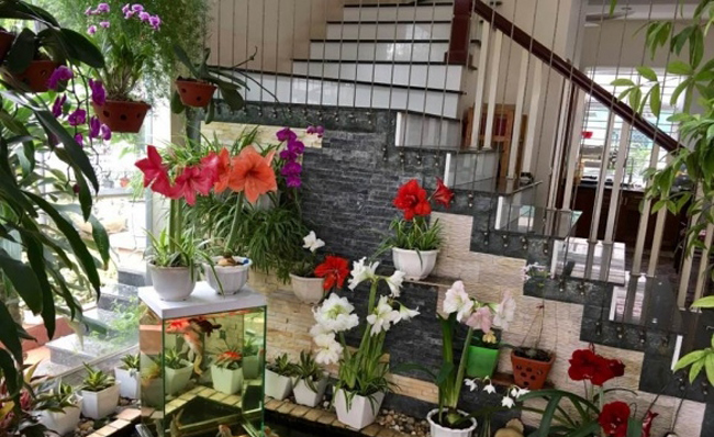 Những chậu hoa nhỏ được trồng phía dưới cầu thang vừa tận dụng không gian vừa tạo nét đẹp riêng.