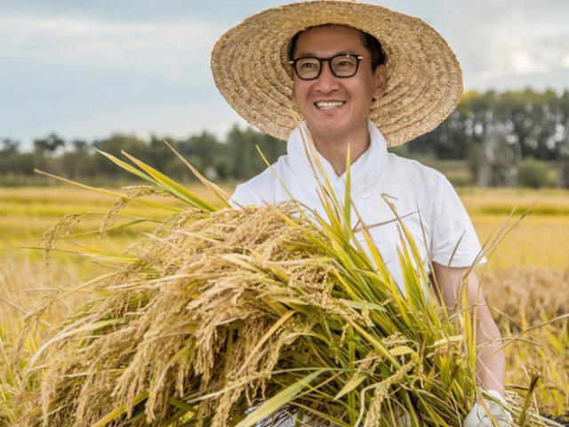 "Nhĩ Khang" Châu Kiệt về quê trồng lúa mưu sinh: Sự thật bất ngờ
