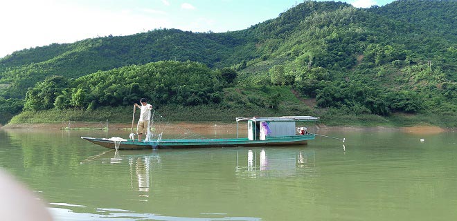 LẠ: Cho cá ăn tỏi, chữa được 2 bệnh, cá lớn vù vù, kiếm bộn tiền - 3