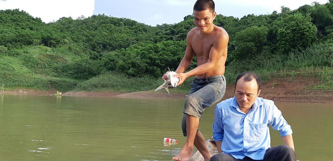 LẠ: Cho cá ăn tỏi, chữa được 2 bệnh, cá lớn vù vù, kiếm bộn tiền - 4