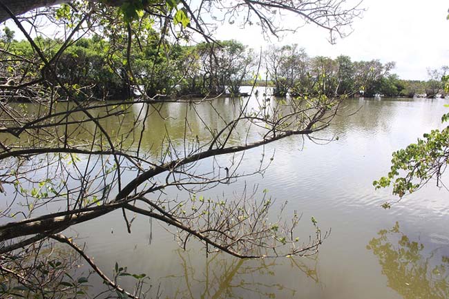 Lạc vào Rú Chá - 19