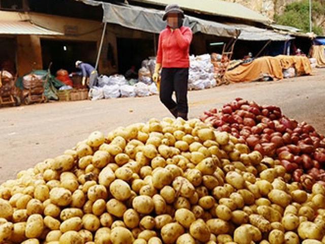 Thị trường - Tiêu dùng - Kiện toàn quy định để kiểm soát nông sản ngoại “đội lốt” hàng Việt