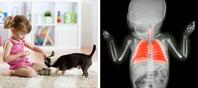 Nếu không muốn trẻ nguy hiểm đến tính mạng, bố mẹ không nên mua những đồ chơi này - 3