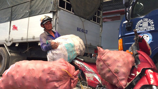 Trung Quốc ngừng mua khoai lang, nông dân vẫn “liều mình” xuống vụ mới - 1