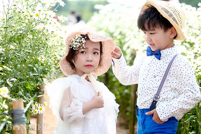 Phía sau những bức ảnh cúc họa mi đẹp là... cả dàn &#34;bắn tỉa&#34; có tâm - 10