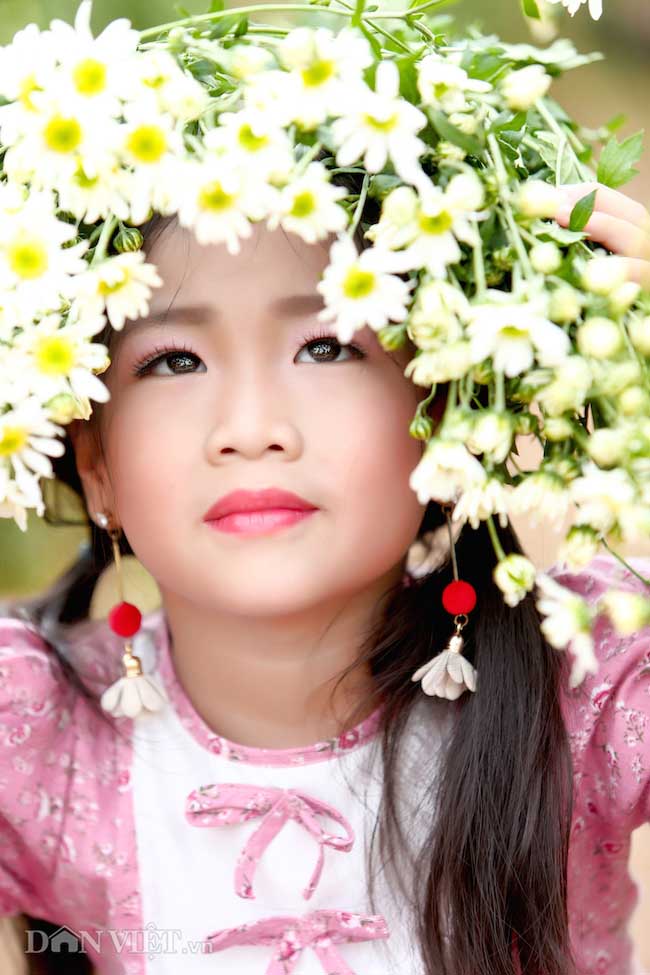 Phía sau những bức ảnh cúc họa mi đẹp là... cả dàn &#34;bắn tỉa&#34; có tâm - 12