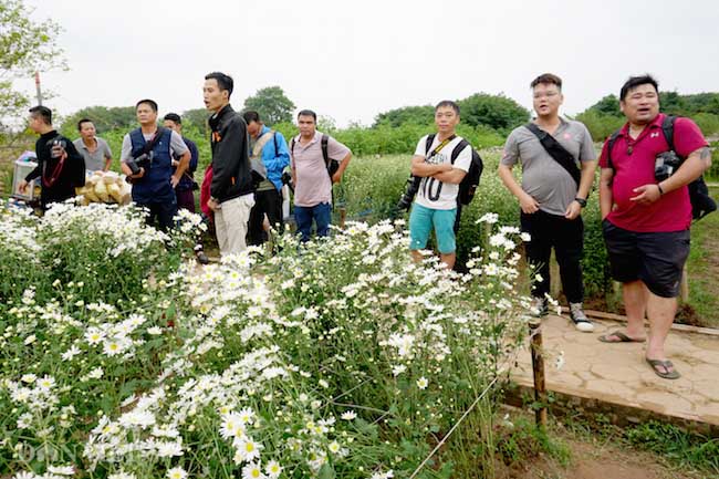 Phía sau những bức ảnh cúc họa mi đẹp là... cả dàn &#34;bắn tỉa&#34; có tâm - 15