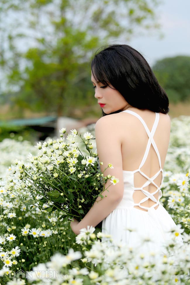 Phía sau những bức ảnh cúc họa mi đẹp là... cả dàn &#34;bắn tỉa&#34; có tâm - 2