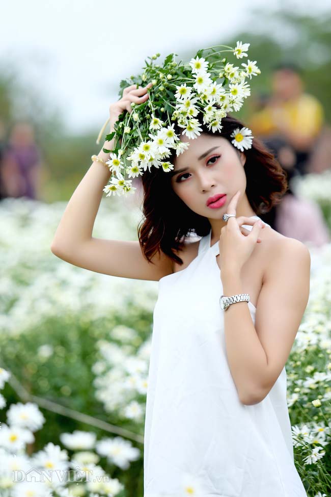 Phía sau những bức ảnh cúc họa mi đẹp là... cả dàn &#34;bắn tỉa&#34; có tâm - 4
