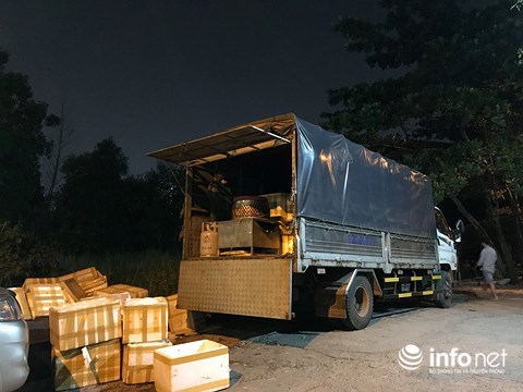 TP.HCM: Quản lý thị trường bắt xe tải chở 3 tấn chim cút đông lạnh bốc mùi - 1