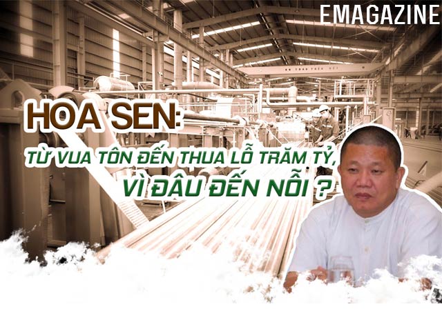 Kinh doanh - Hoa Sen: Từ vua tôn đến thua lỗ trăm tỷ, vì đâu nên nỗi?