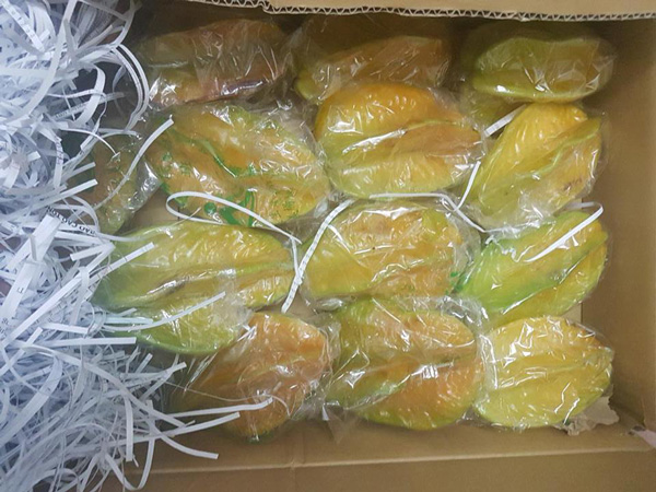 Khế nội rụng kín gốc không ai nhặt, khế ngoại 300.000đ/quả vẫn cháy hàng - 1