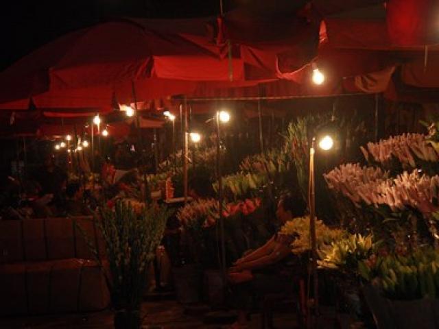 Thị trường - Tiêu dùng - Sếp EVN đề nghị cấm sản xuất, tiêu thụ bóng đèn tròn