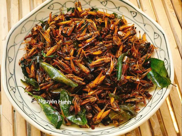 Ẩm thực - Cách làm cào cào rang - món nhậu tuyệt đỉnh khi xem AFF Cup