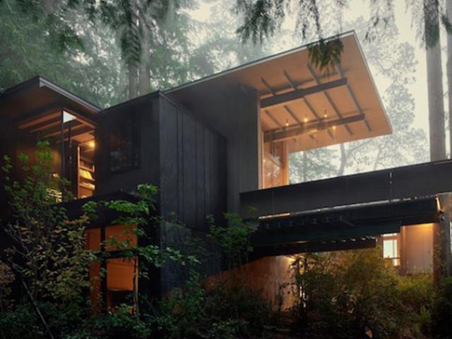 Tài chính - Bất động sản - Biệt thự 60 năm giữa rừng gây "choáng" vì vừa đẹp vừa hiện đại