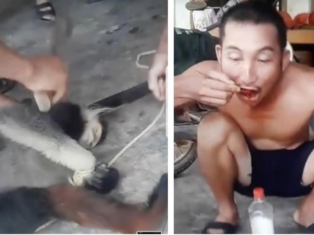Nhóm thanh niên livestream cảnh giết khỉ, ăn óc sống gây phẫn nộ