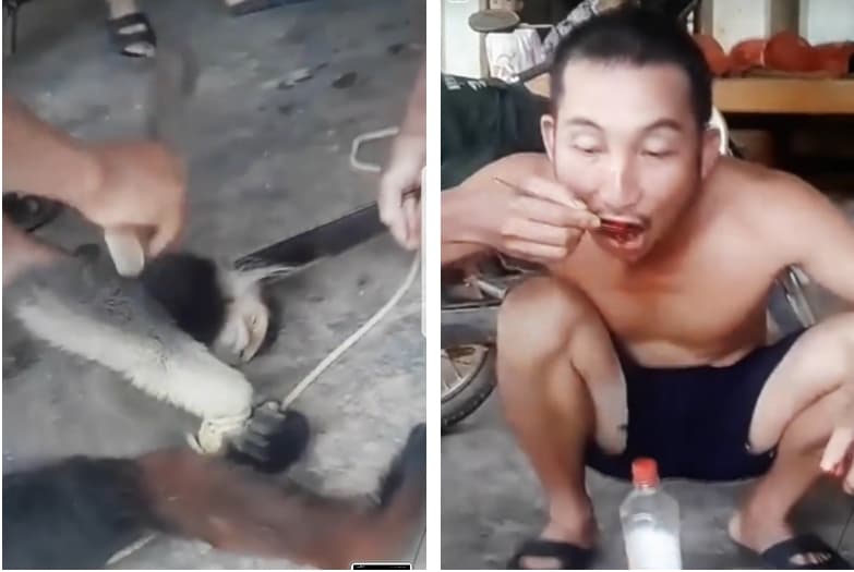 Nhóm thanh niên livestream cảnh giết khỉ, ăn óc sống gây phẫn nộ - 1