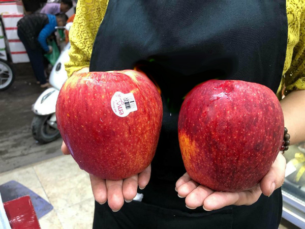 Dân Hà thành phát “sốt” với trái táo to như quả bưởi - 2