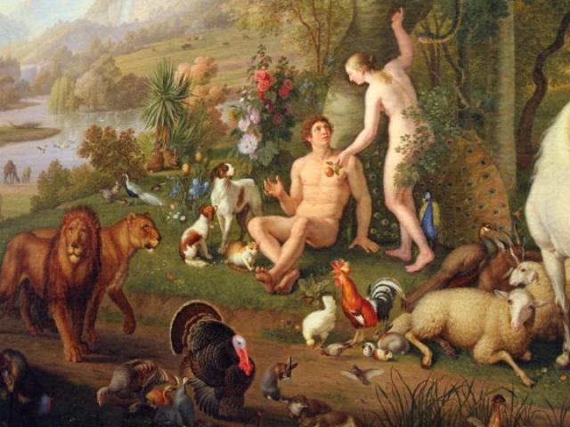 Thế giới - Phát hiện bất ngờ về nguồn gốc của con người