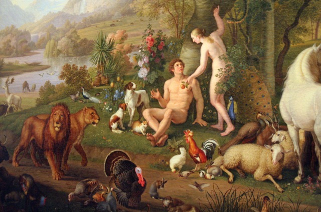 Phát hiện bất ngờ về nguồn gốc của con người - 1