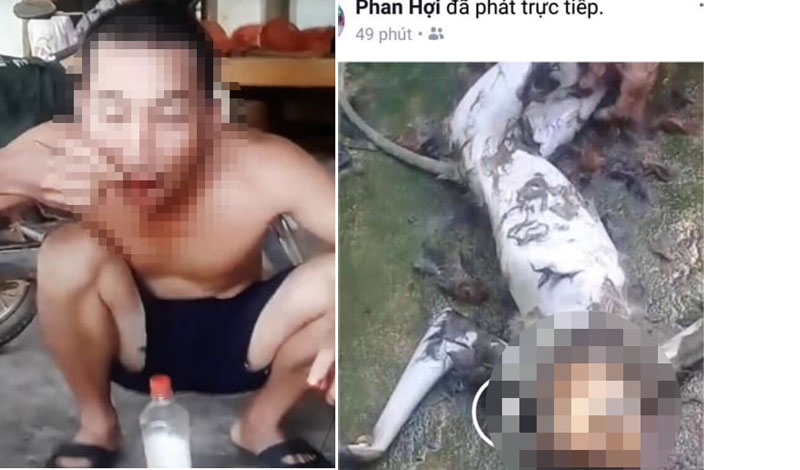 Từ vụ giết khỉ, ăn óc sống rồi livestream: Người sát sinh đã “trả giá” thế nào? - 1