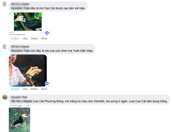 Dân mạng chia phe “hồng hoàng hay cao cát”, kiểm lâm quyết làm “ra ngô ra khoai” - 2