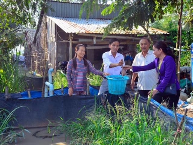 Thị trường - Tiêu dùng - Kiên Giang: Dân đổi đời nhờ nuôi lươn đồng trong bồn cao su