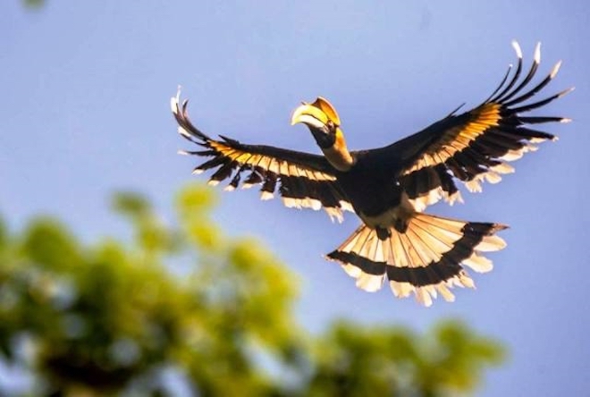 Nóng 24h qua: Tuyên án 4 bị cáo đâm chết 2 “hiệp sĩ” ở Sài Gòn, tử hình Tài “mụn” - 3