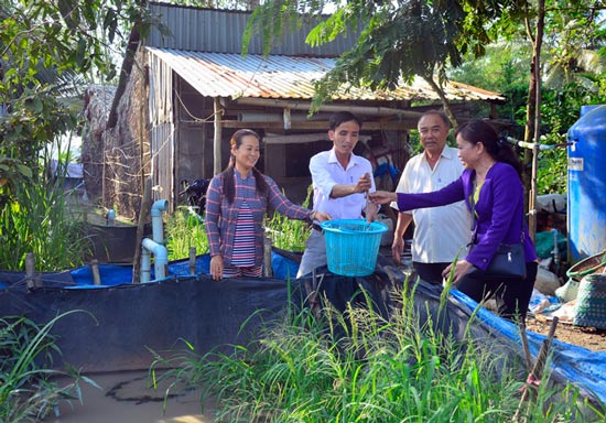 Kiên Giang: Dân đổi đời nhờ nuôi lươn đồng trong bồn cao su - 1