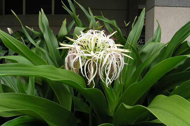 Người bị u xơ tử cung kiêng ăn gì và nên ăn gì? - 4