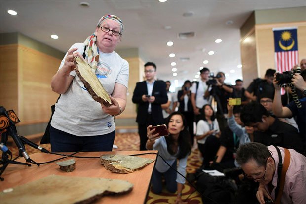 Nóng: Gia đình nạn nhân MH370 công bố mảnh vỡ máy bay mới - 4