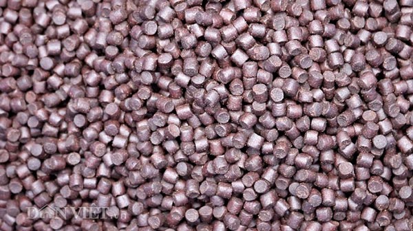 Lãi 3 tỷ đồng/năm đều như &#34;vắt chanh&#34; nhờ nuôi cá trên đỉnh mây mù - 4