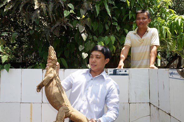 Quảng Nam: Nuôi những con kỳ lạ, mỗi năm lãi ròng 2 tỷ đồng - 1