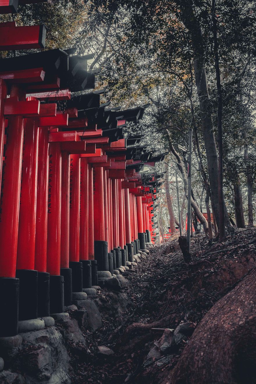 Một góc nhìn lặng lẽ đầy ám ảnh về một cố đô Kyoto Nhật Bản cổ kính - 1