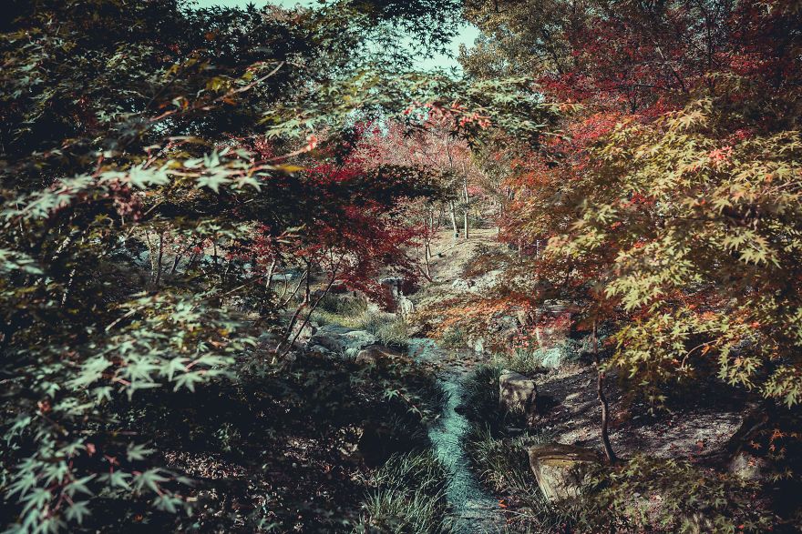 Một góc nhìn lặng lẽ đầy ám ảnh về một cố đô Kyoto Nhật Bản cổ kính - 12
