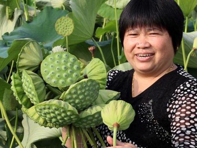 Kinh doanh - Dễ dàng bỏ túi 1.000 tỷ đồng/năm nhờ cho du khách làm nông dân