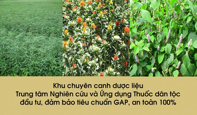 Bệnh vảy nến khổ và khó chịu, điều trị bằng cách nào hữu hiệu nhất? - 4
