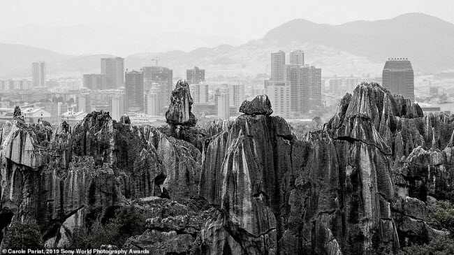 Khu rừng đá có niên đại hàng nghìn năm tương phản với các tòa nhà hiện đại tại một thành phố ở miền nam Trung Quốc. Ảnh: Carole Pariat