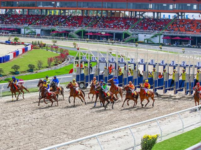 Tin tức trong ngày - Hà Nội sẽ có trường đua ngựa hàng trăm triệu đô ở Sóc Sơn