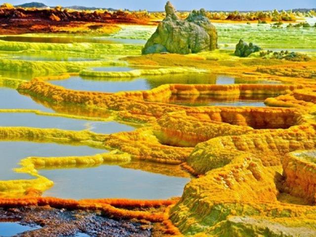 Du lịch - “Cánh đồng vàng” có vẻ đẹp kỳ lạ nhưng cũng "bốc mùi" nhất hành tinh