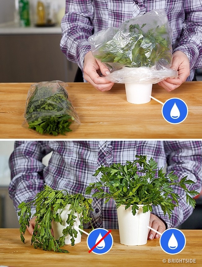 Đời không như là mơ khi cố bắt chước những mẹo vặt nấu ăn trên mạng - 14