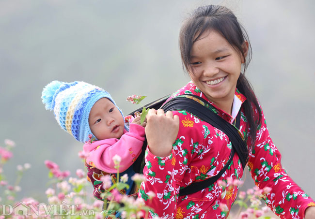 Mê mẩn những đồi hoa tam giác mạch ở Hà Giang - 8