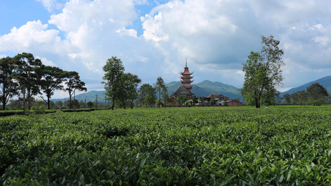 Gia Lai tưởng không có gì chơi mà cũng mê mẩn ngẩn ngơ chẳng nỡ về - 19