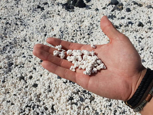Kỳ lạ bãi biển chứa đầy "bỏng ngô" - 3