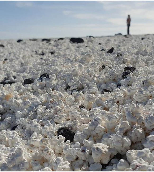 Kỳ lạ bãi biển chứa đầy "bỏng ngô" - 4