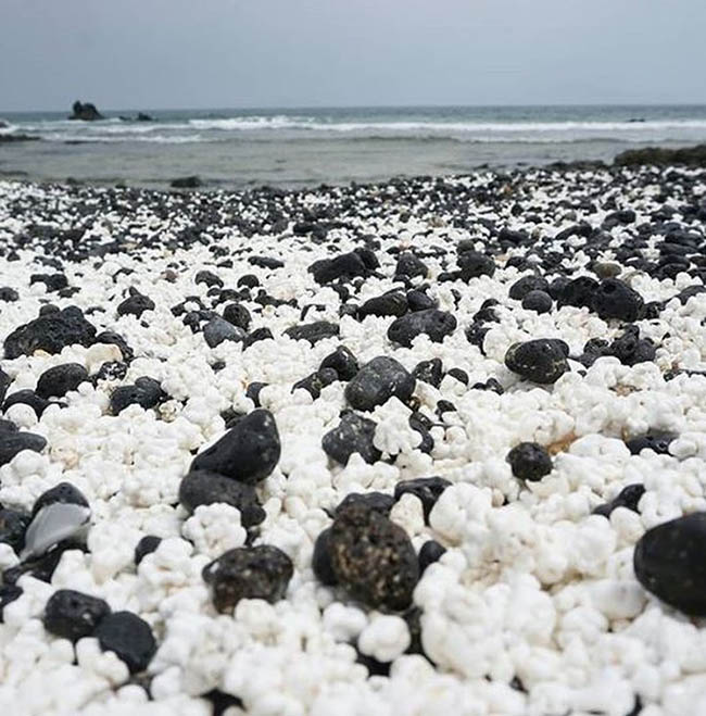 Kỳ lạ bãi biển chứa đầy "bỏng ngô" - 6