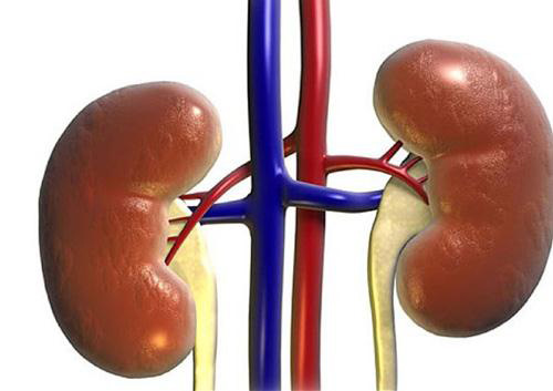 Đi tiểu 2 lần/đêm - Đừng để đến lúc suy thận mới biết điều này! - 2