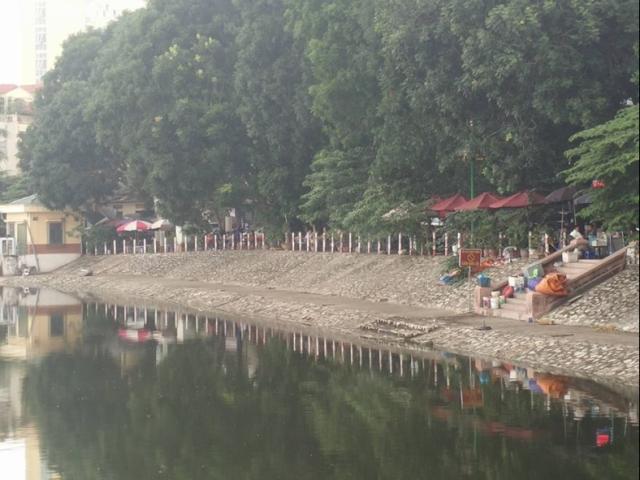 Tin tức trong ngày - Vì sao chó Pitbull tấn công người, chủ thú cưng lại kiện ngược?