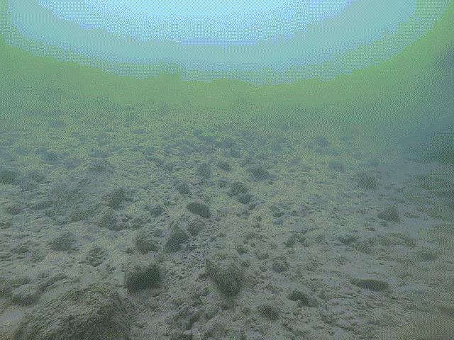 Media - Thợ lặn chết điếng khi nhìn thấy điều kinh dị dưới đáy hồ